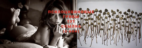 кристаллы Гусь-Хрустальный