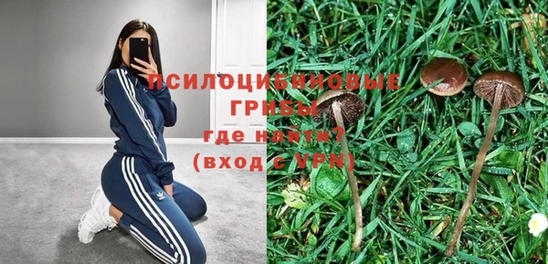 каннабис Гусиноозёрск