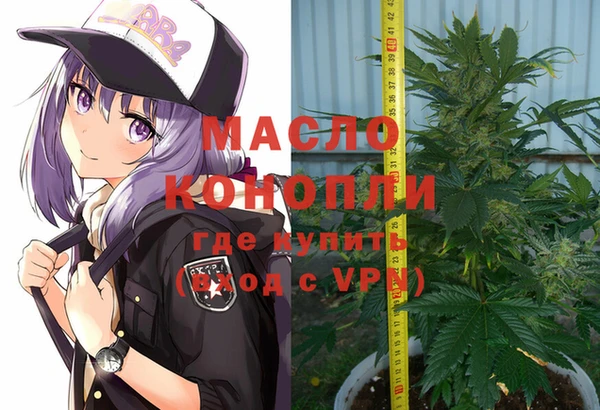 хмурый Новозыбков