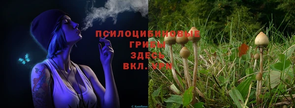 каннабис Гусиноозёрск