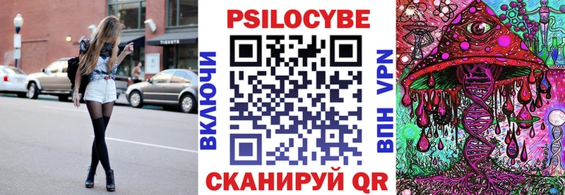 дарк нет клад Павловск Галлюциногенные грибы Psilocybe где купить наркотик