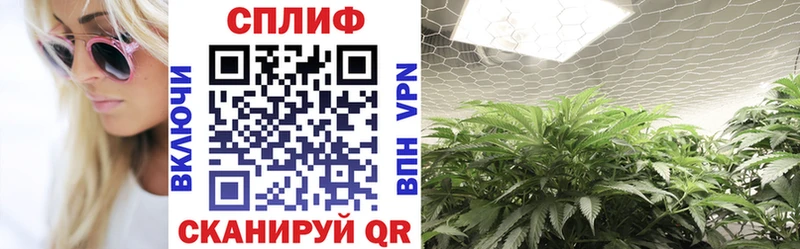 omg ссылка  Павловск  МАРИХУАНА SATIVA & INDICA 